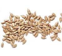 Pipas de Girasol Crudas