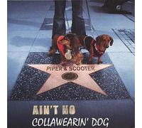 Piper & Scooter - Ain'T No Collawearin' Dog