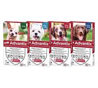 Pipetas Advantix para Perros
