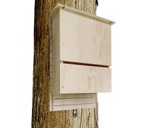 Pipistrelli Externo Casetta - Bat por la Batalla Reutilizable de Madera por Hibernación, Casa para | Casas para Murciélagos al aire libre, Murciélagos con estos Murciélagos Exclusivos