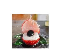 pipisweet Té de litchi de resina que cambia de color, accesorios de té para mascotas, hogar, oficina, frutas, decoración, juguete de juego (tipo 1)