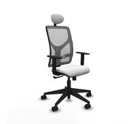 Piqueras y Crespo Modelo Motilla: La Mejor Silla ergonómica para 8 Horas de Uso, con Respaldo Fijo, Brazos 1D y Apoyo Lumbar L1D, Ideal para un Peso máximo de 120 Kg