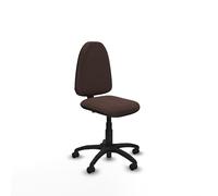 Piqueras y Crespo Silla para Trabajar económica Aýna con Respaldo Regulable en Altura y Mecanismo de Contacto Permanente, Ideal para Escritorio y Silla Oficina
