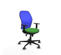 Piqueras y Crespo Silla Jorquera ergonómica Ajustable y reclinable en Color con Respaldo Fijo, Brazos 1D y Apoyo Lumbar 1D para 8 Horas de Uso y 120 Kg