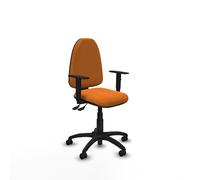 Piqueras y Crespo Silla postural Aýna ergonómica según Norma para Oficina, Ideal para Adolescentes, con Respaldo Regulable en Altura, Brazos 1D, Mecanismo Asincro, hasta 100 Kg