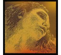 Pirastro 419095 Evah Pirazzi GOLD Violín Set (G-Silver, E-lazo) medio