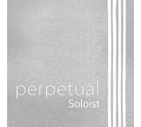 Pirastro - Cuerda cello Pirastro Perpetual Soloist 333080 juego Medium 4/4 - ACCCPPERPJ44-VT
