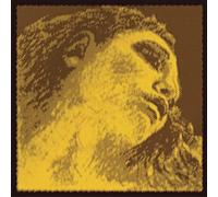 Pirastro Evah Pirazzi - Juego de cuerdas doradas para violín - Gold Wound G - Loop E - Calibre medio