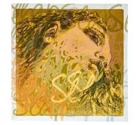 Pirastro Evah Pirazzi Slap D String Syn