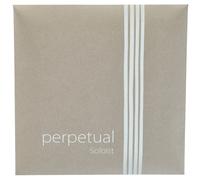 Pirastro - Cuerda cello Pirastro Perpetual Soloist 333080 juego Medium 4/4 - ACCCPPERPJ44-VT