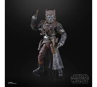 Pirate Captain Brutus (Port Borgo). The Black Series. Star Wars: Skeleton Crew