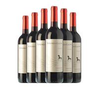 Pirineos Señorío de Lazán Somontano Crianza 75 cl Vino tinto (Caja de 6 Botellas de 75 cl)