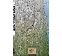 pirineu catala (1:200000) (mapa tubo)