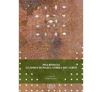 Pisa romana. Le domus di piazza Andrea del Sarto