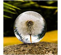 Pisapapapeles con diseño de diente de león, bola de los deseos de cristal, bola de soñar, pisapapeles de diente de león, el regalo perfecto para familiares, amantes, niños y amigos (6 cm)