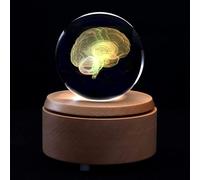 Pisapapeles con base LED 3D, modelo de cerebro humano, grabado con láser, regalo científico para entusiastas de la educación y la anatomía, perfecto para decoración de escritorio y aprendizaje, 6 x 6