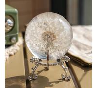 Pisapapeles de diente de león real de 60 mm, bola de cristal de resina de diente de león con soporte, regalo de decoración del hogar para papá, mamá, profesor, cumpleaños, boda, San Valentín, día de