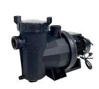 PISCINA SPA JARDÍN OCIO Bomba VPlus-Max 38776-P | Bomba para Piscina 1,5 CV Trifásica 380V/50Hz, Negro