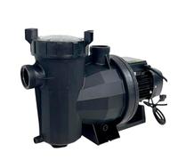 PISCINA SPA JARDÍN OCIO Bomba VPlus-Max 38777-P | Bomba para Piscina 2,0 CV Monofásica 220V/50Hz, Negro