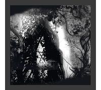 Pisetzky - Tears Of A Rough Machine [Vinilo]