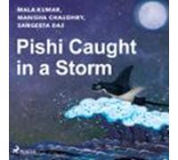 Pishi Caught In A Storm (audiolibro)