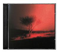 Joji – Piss In The Wind – CD – Importación USA