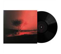 Piss In The Wind - Vinilo