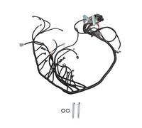 Pissente Arnés de Cableado Independiente LS Swap, Arnés ABS DBW 4L60E para Motores LS 97 a 04 Gen III, Compatible con 4L60E 4L70E 4L75E, Sensor de Leva Trasera, Inyectores EV1 para Proyectos de