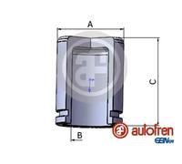 Pistón de la pinza de freno Eje delantero Acero D025290 AUTOFREN SEINSA