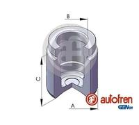 Pistón de la pinza de freno Eje trasero Acero D025125 AUTOFREN SEINSA para BMW