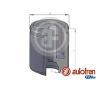 Pistón de la pinza de freno Eje trasero Acero D025234 AUTOFREN SEINSA para FORD