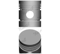 Pistón del motor 87-314600-00 NÜRAL para PEUGEOT 806