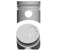 Pistón NÜRAL 87-109807-10