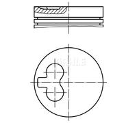 Pistón del motor estañado 021 66 02 MAHLE para RENAULT KANGOO CLIO II CLIO I
