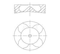 Pistón MAHLE 007 PI 00163 000