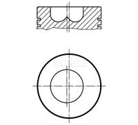 Pistón del motor revestido 009 86 01 MAHLE para UAZ FIAT IVECO