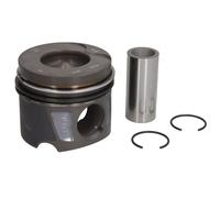 Pistón MAHLE 001 PI 00107 000
