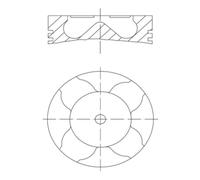 Pistón MAHLE 007 PI 00163 000