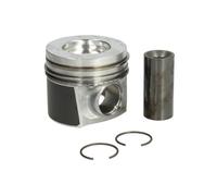 Pistón MAHLE 021 PI 00129 001