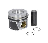 Pistón MAHLE 028 PI 00116 000