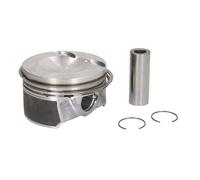 Pistón MAHLE 028 PI 00119 000