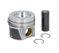 Pistón MAHLE 028 PI 00141 000