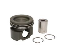 Pistón MAHLE 037 PI 00106 000