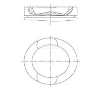 Pistón MAHLE 037 PI 00107 000