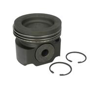 Pistón MAHLE 038 73 00
