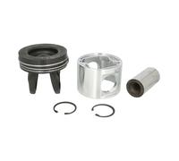 Pistón MAHLE 061 PI 00128 000