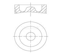Pistón MAHLE 061 PI 00129 000