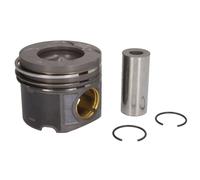 Pistón MAHLE 081 PI 00103 001