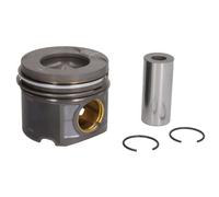 Pistón MAHLE 081 PI 00103 002
