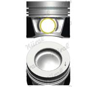NÜRAL Pistón Para VW Tiguan 5N_ 2.0 TDI 4motion Transporter VI Caja SGA SGH